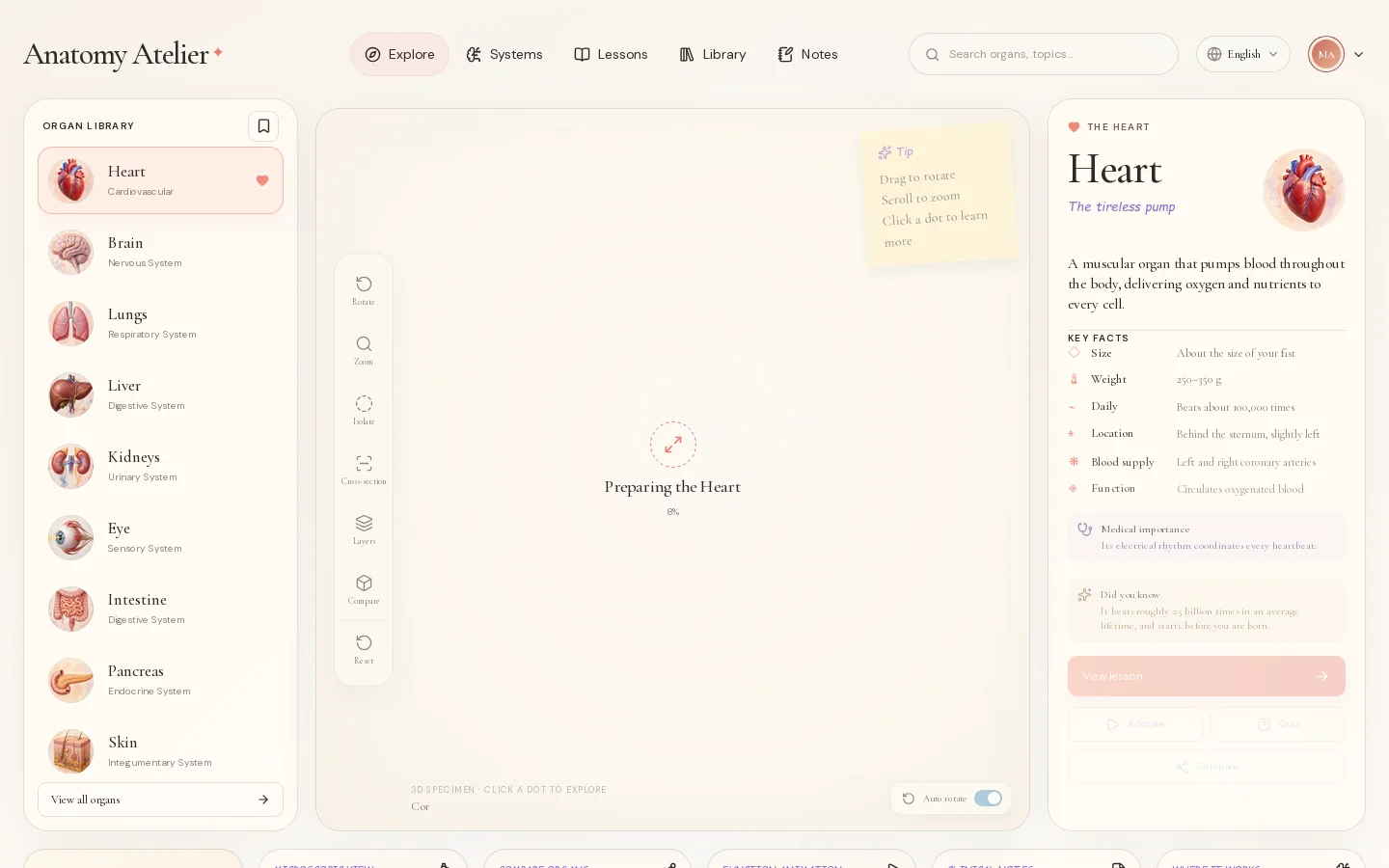Anatomy Atelier Homepage screenshot