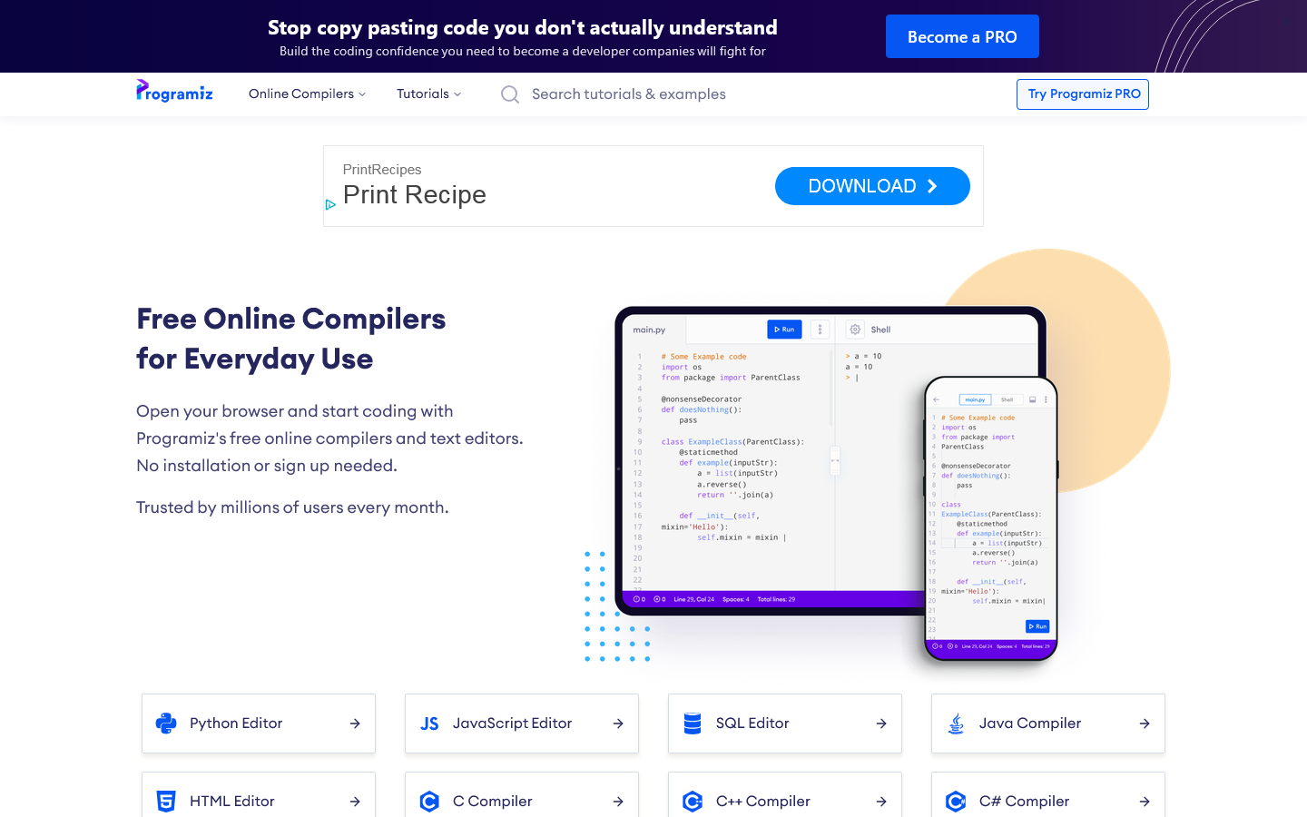 Programiz Homepage screenshot