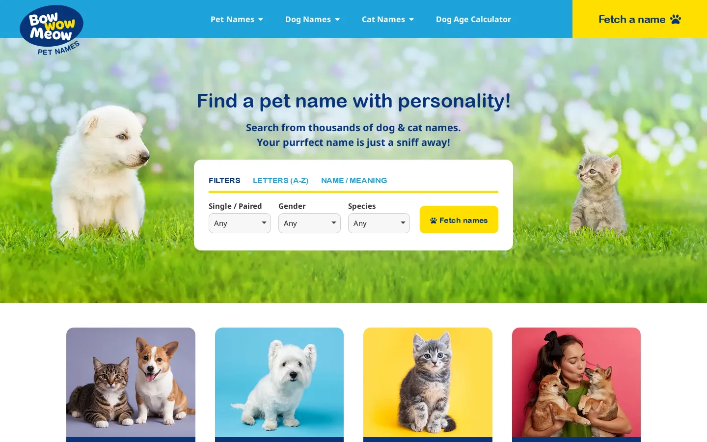 Discover the Best Name for Your Pet at Bow Wow Pet Names Homepage screenshot