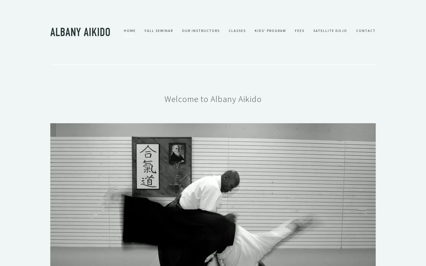 albany aikido Homepage screenshot