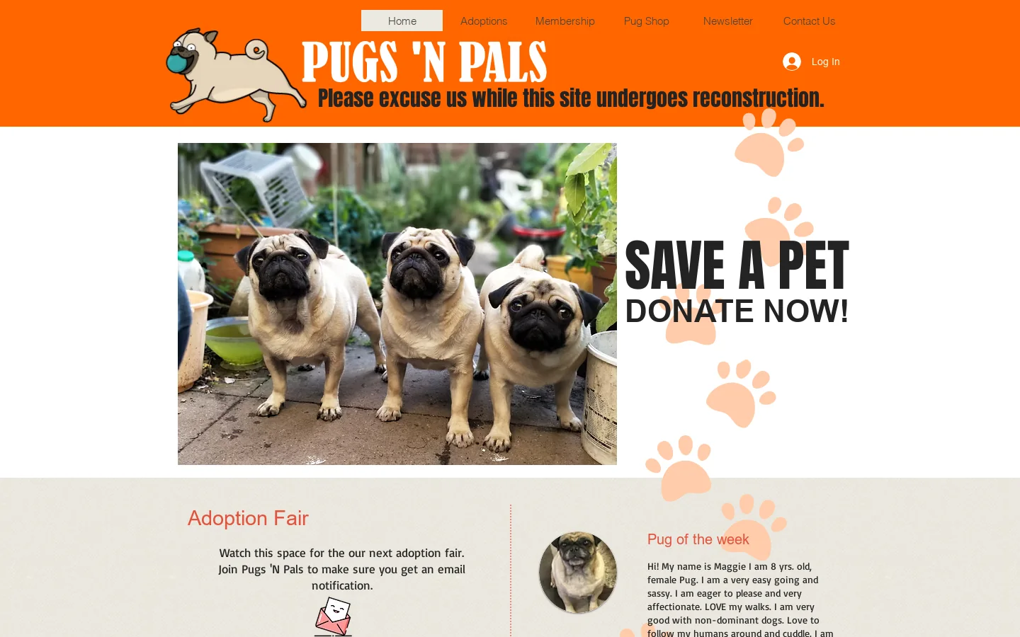 Home | Pugs 'N Pals Homepage screenshot