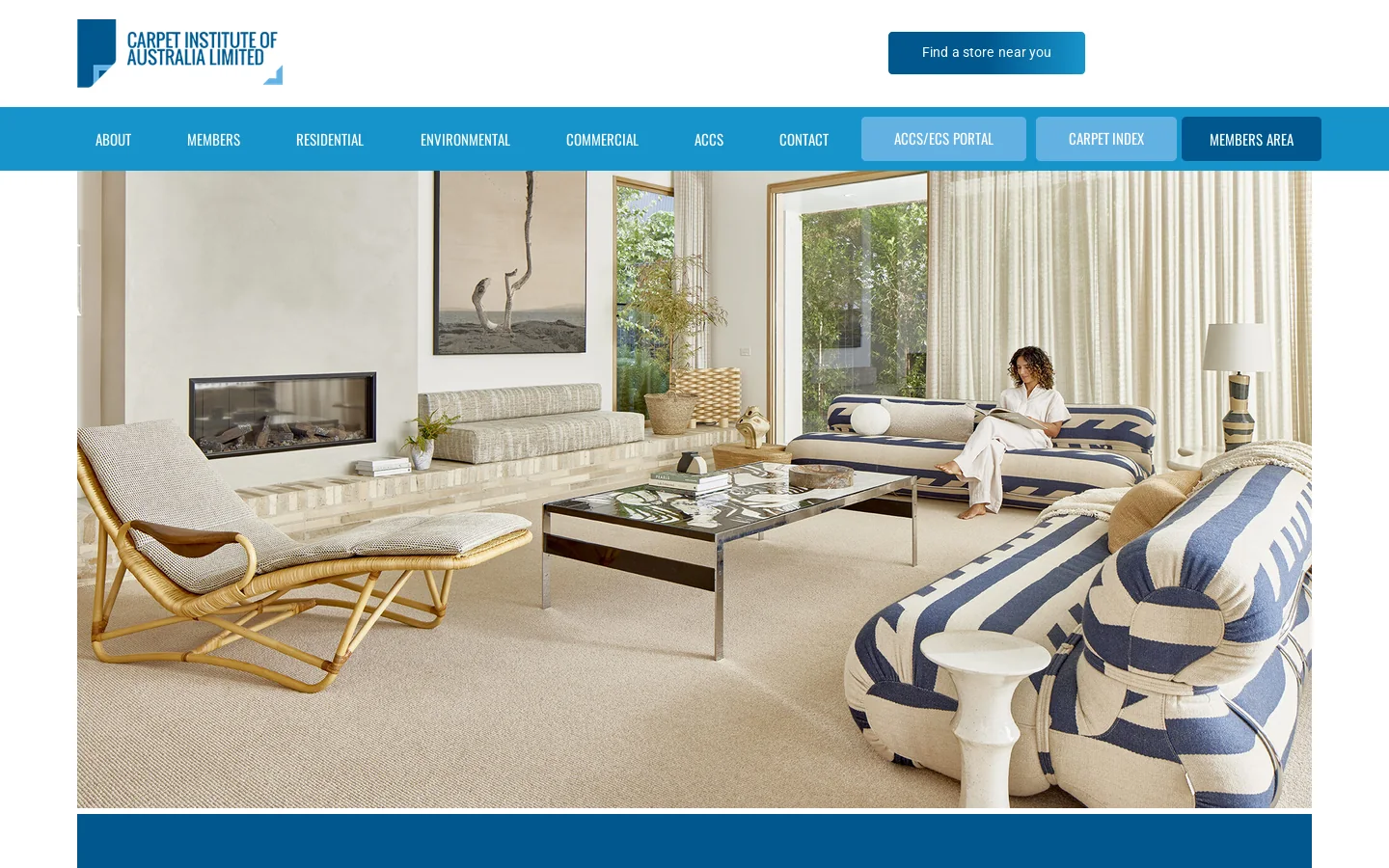 Carpet Institute Homepage screenshot