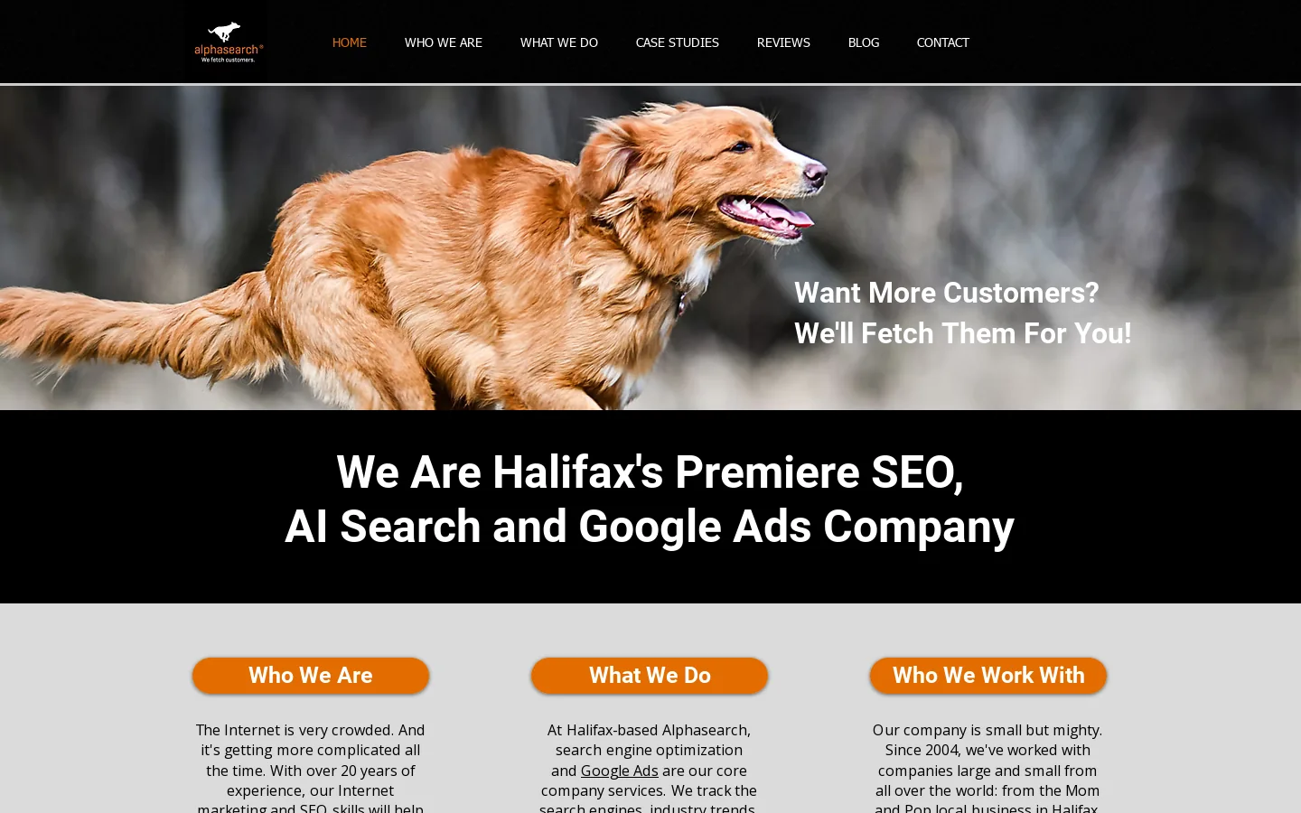 Alphasearch Homepage screenshot