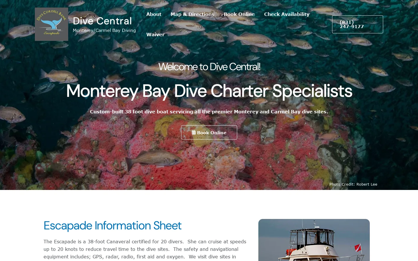 Dive Central Homepage screenshot