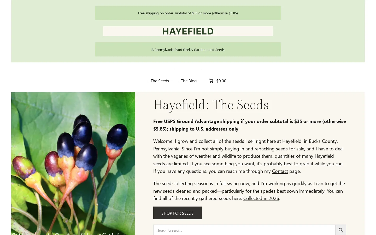 Hayefield Homepage screenshot