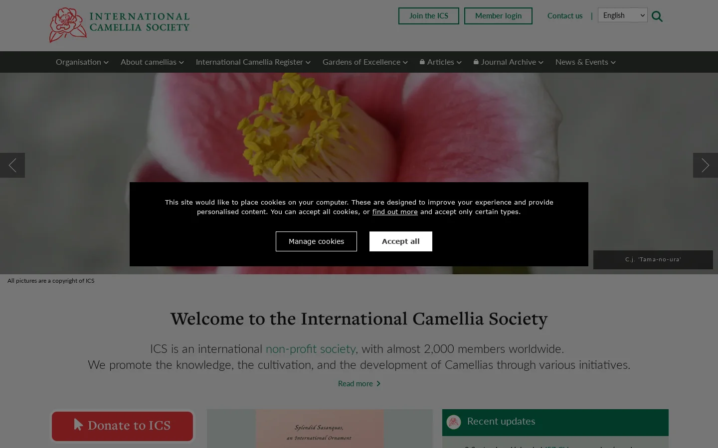 International Camellia Society Homepage screenshot