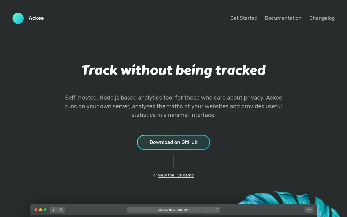 Ackee Homepage screenshot