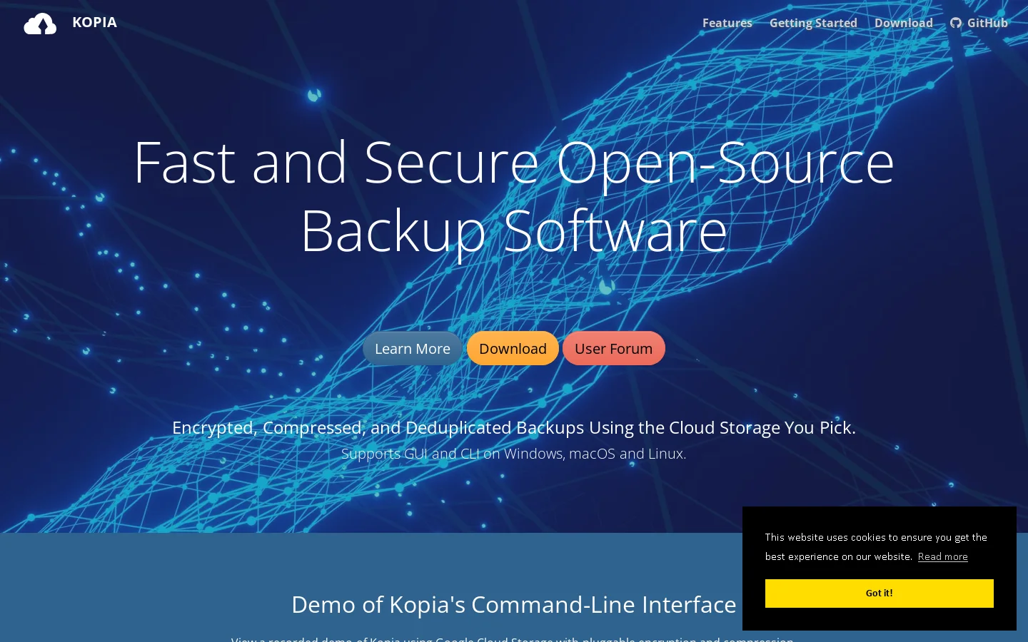 Kopia Homepage screenshot