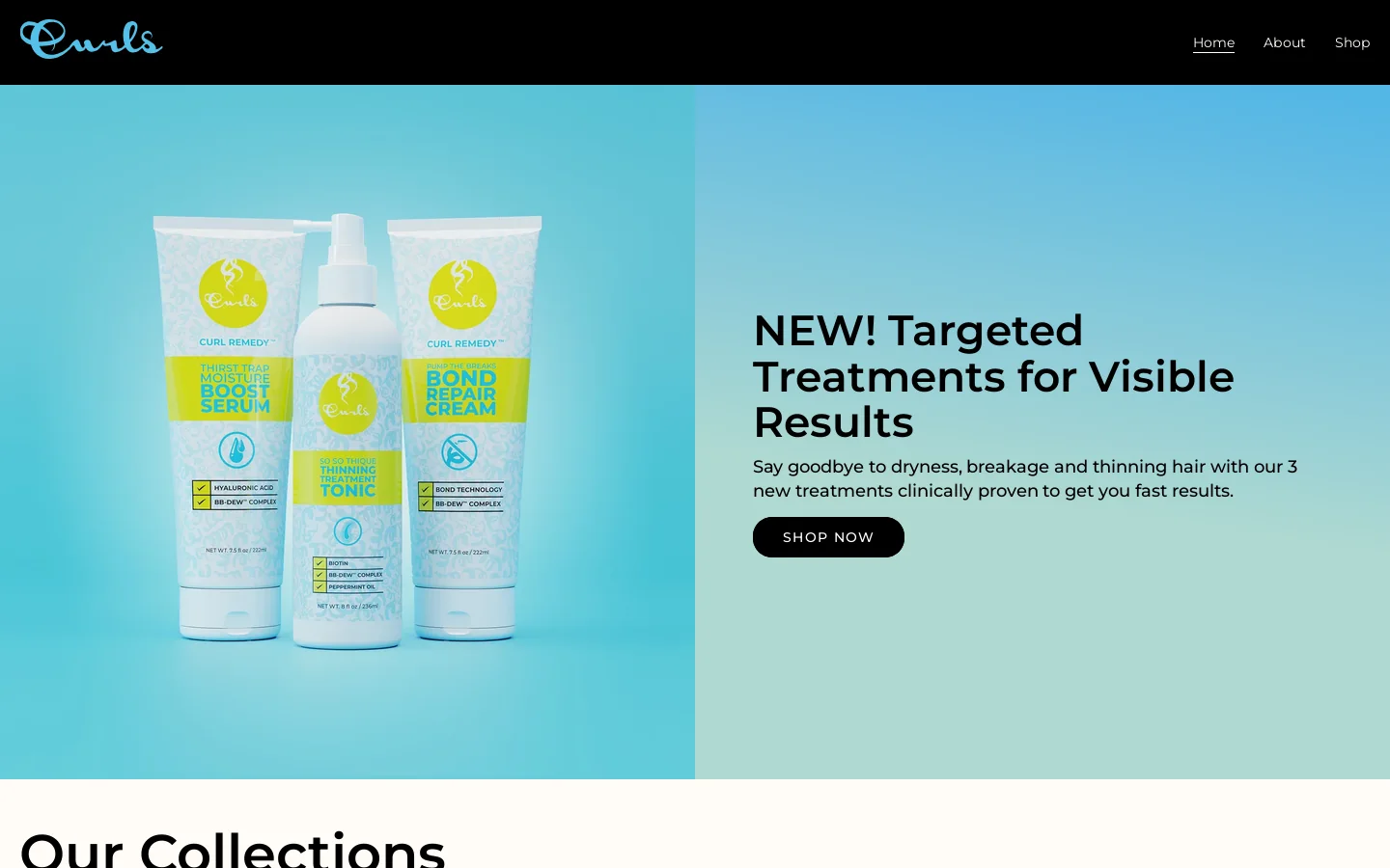 CURLS Homepage screenshot