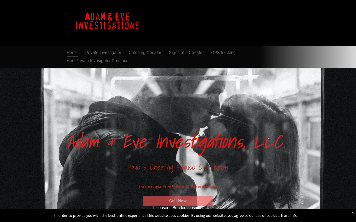 Private Investigator Phoenix AZ Homepage screenshot