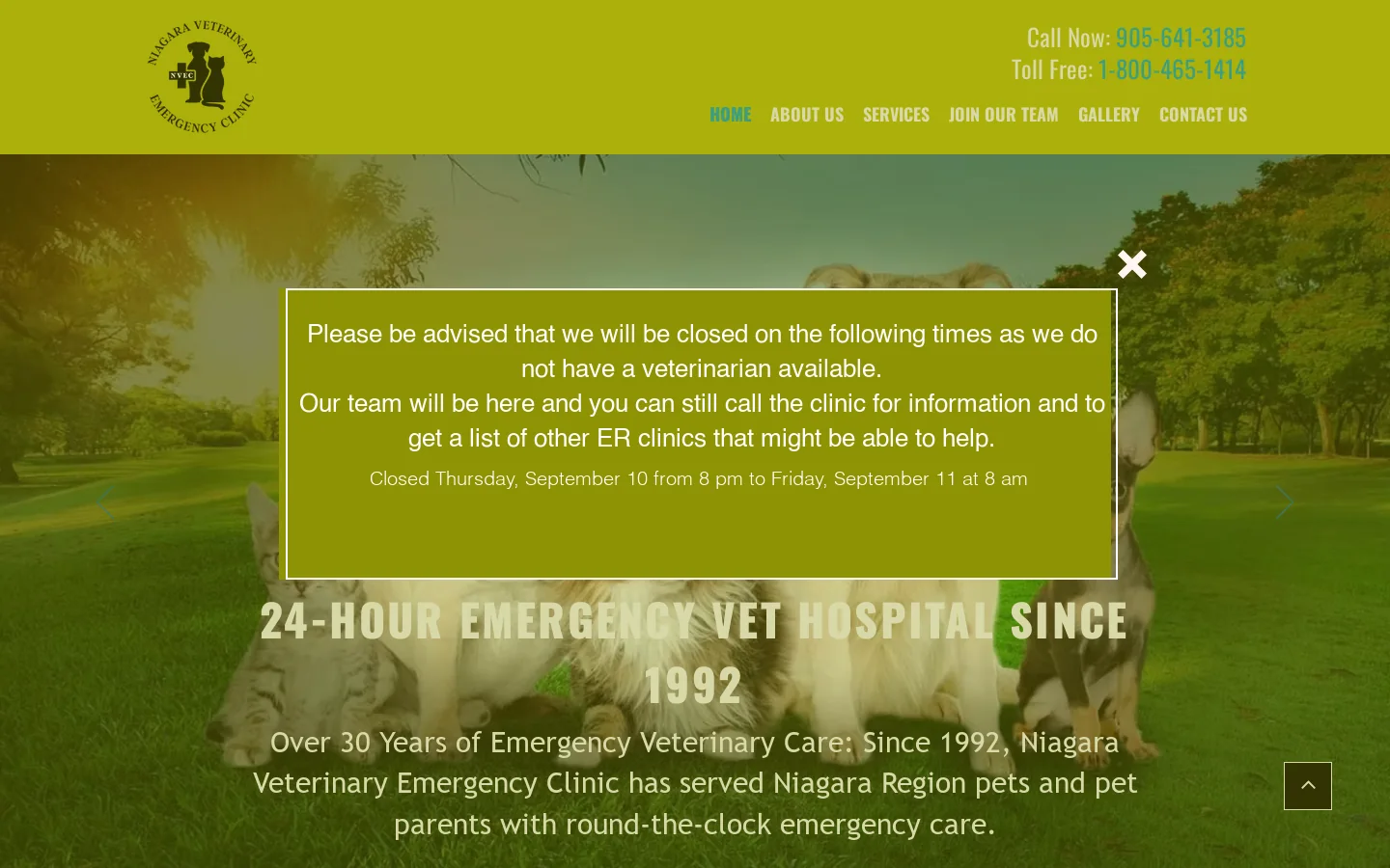 Emergency Veterinarian | 24/7 | Niagara Veterinary Emergency Clinic Homepage screenshot
