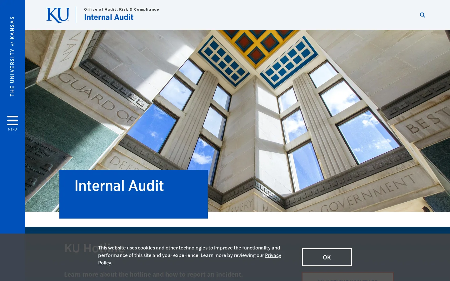 Internal Audit Homepage screenshot