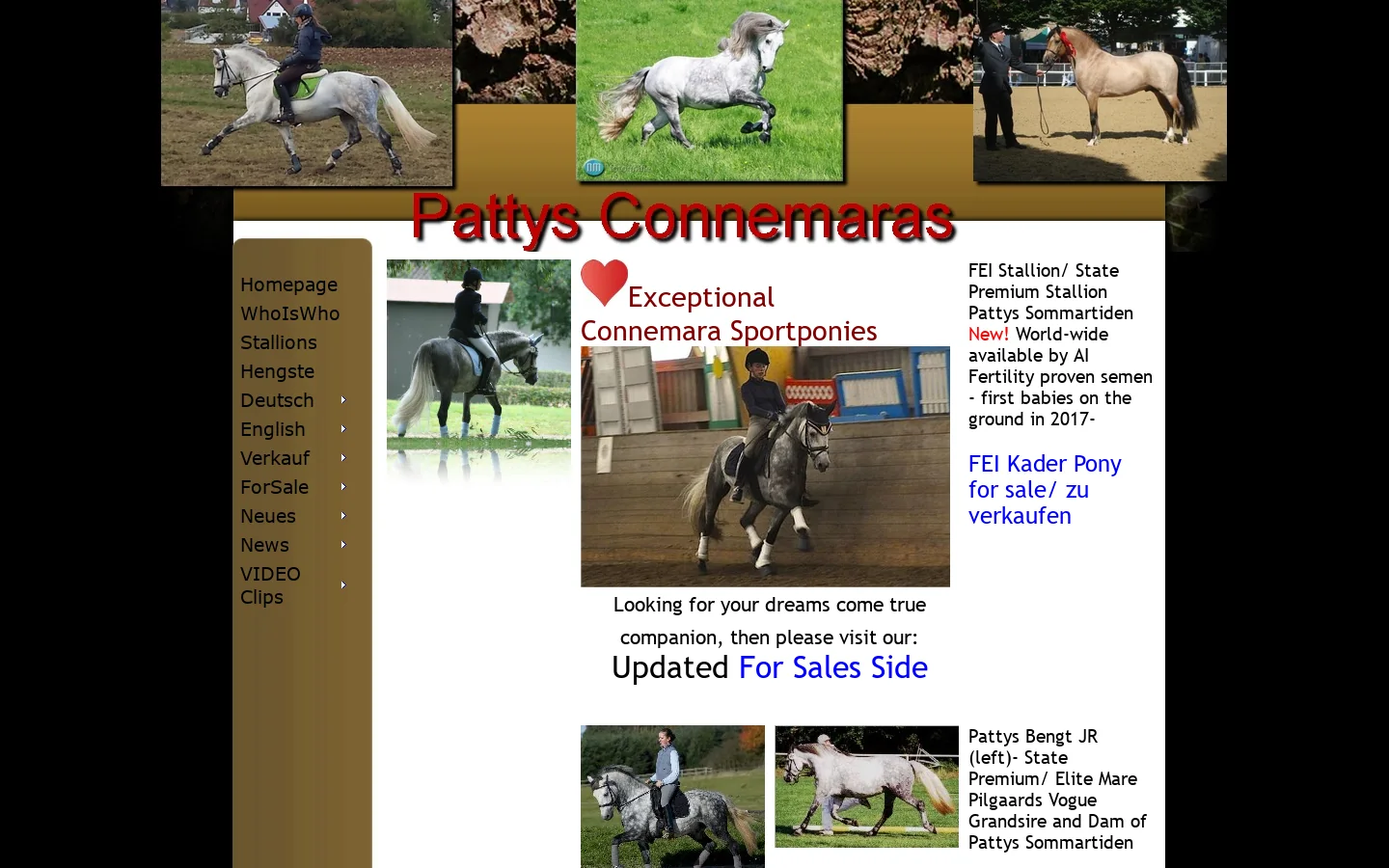 Pattys Connemaras Homepage screenshot