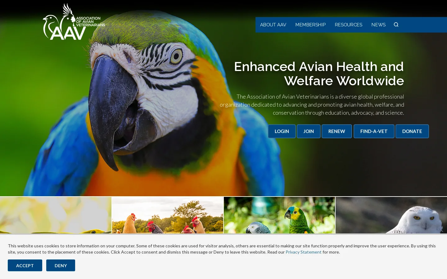 Association of Avian Veterinarians Homepage screenshot