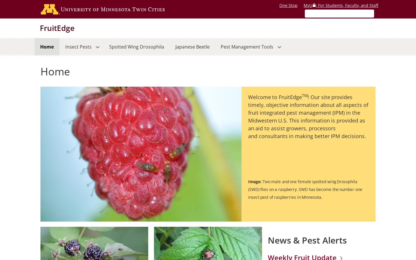 FruitEdge Homepage screenshot