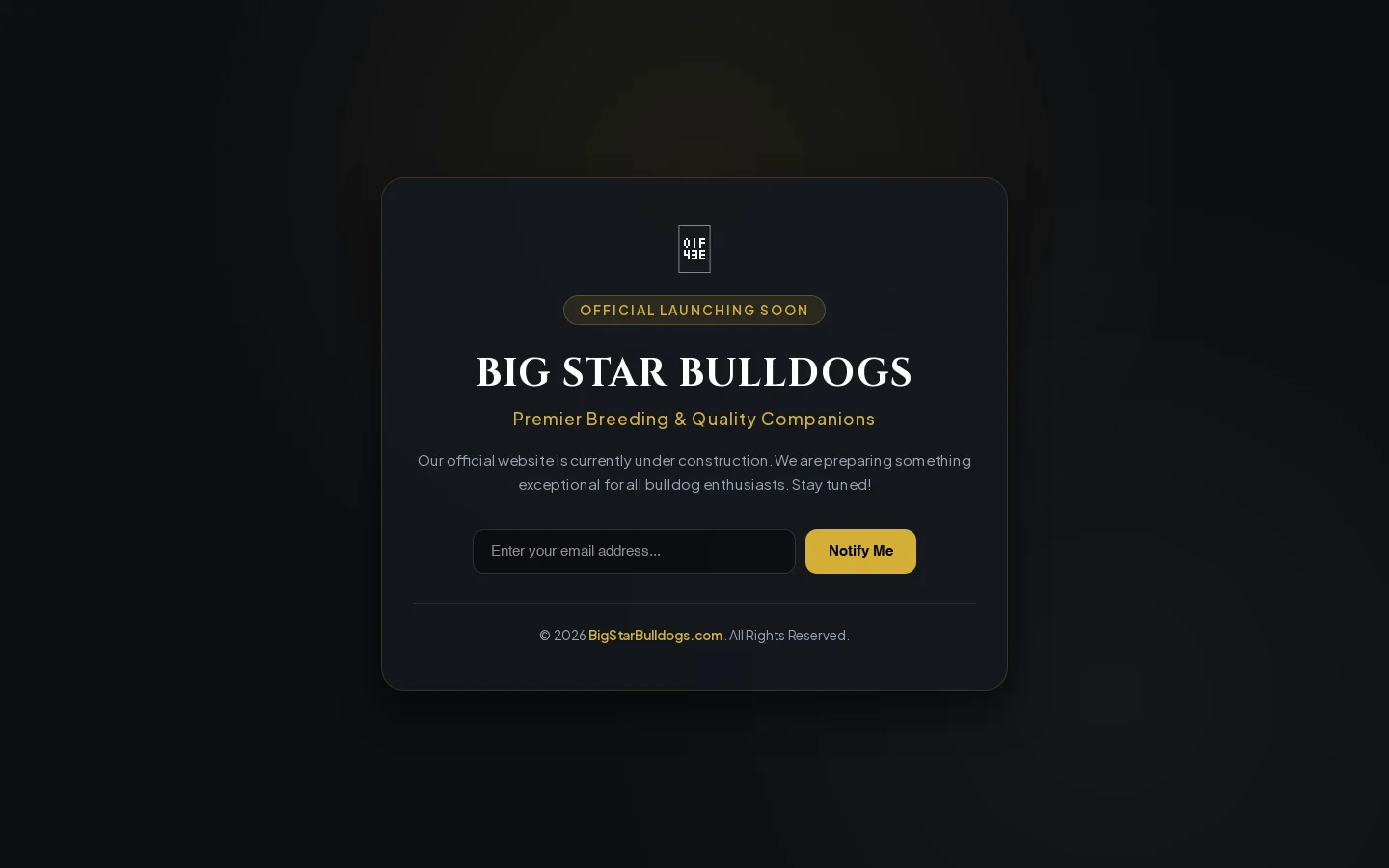 Big Star Bulldogs Homepage screenshot