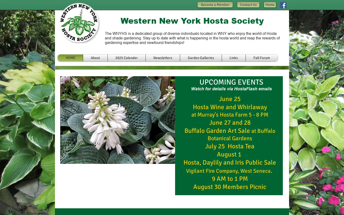 Western NY Hosta Society Homepage screenshot