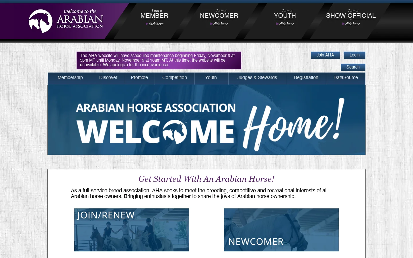 ArabianHorses.org Homepage screenshot