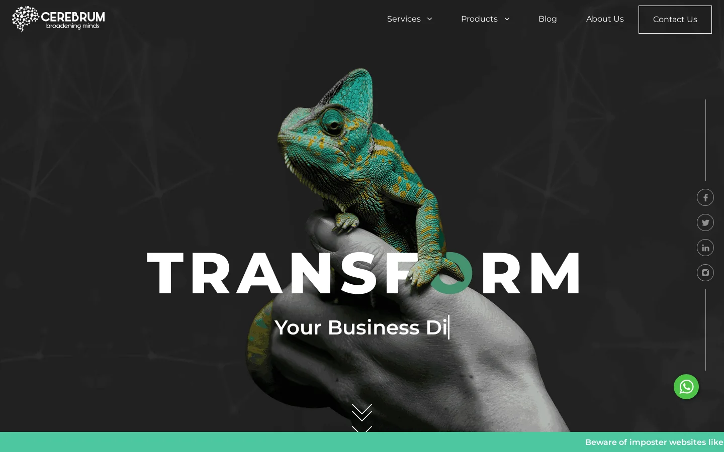 CereKart Homepage screenshot