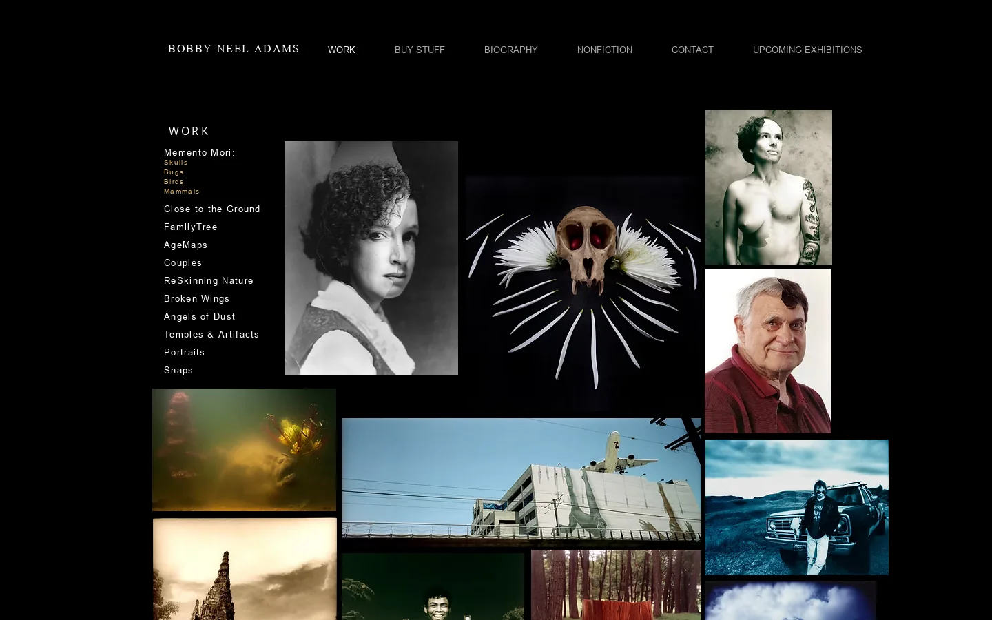 Bobby Neel Adams Homepage screenshot
