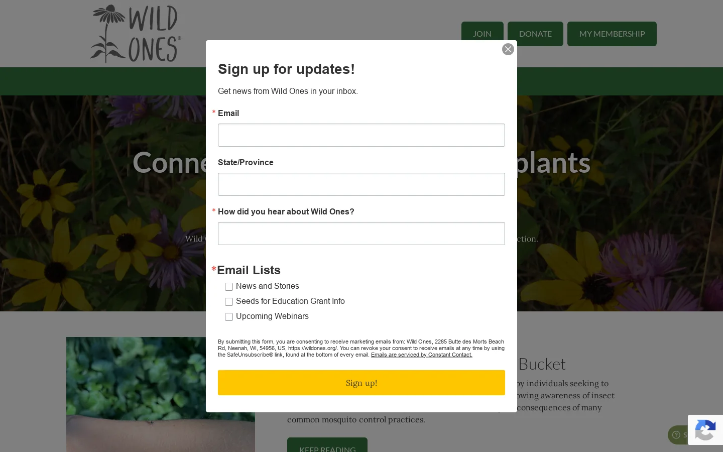 Wild Ones Homepage screenshot
