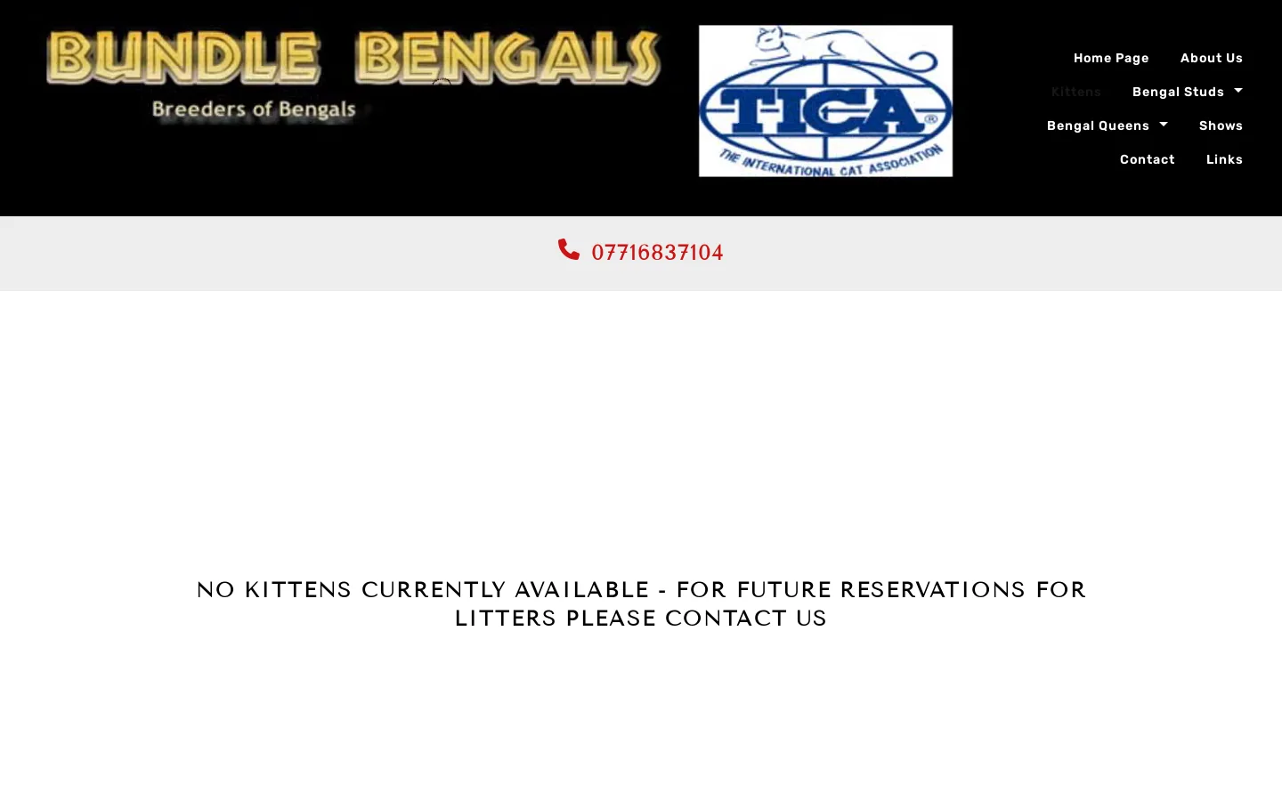 Kittens Homepage screenshot