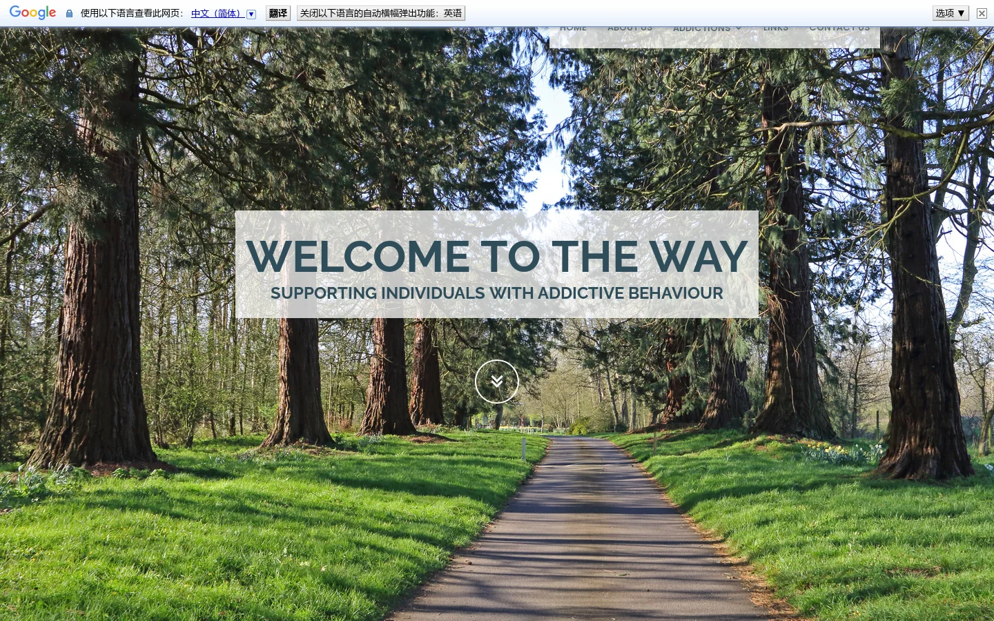 The Way Homepage screenshot