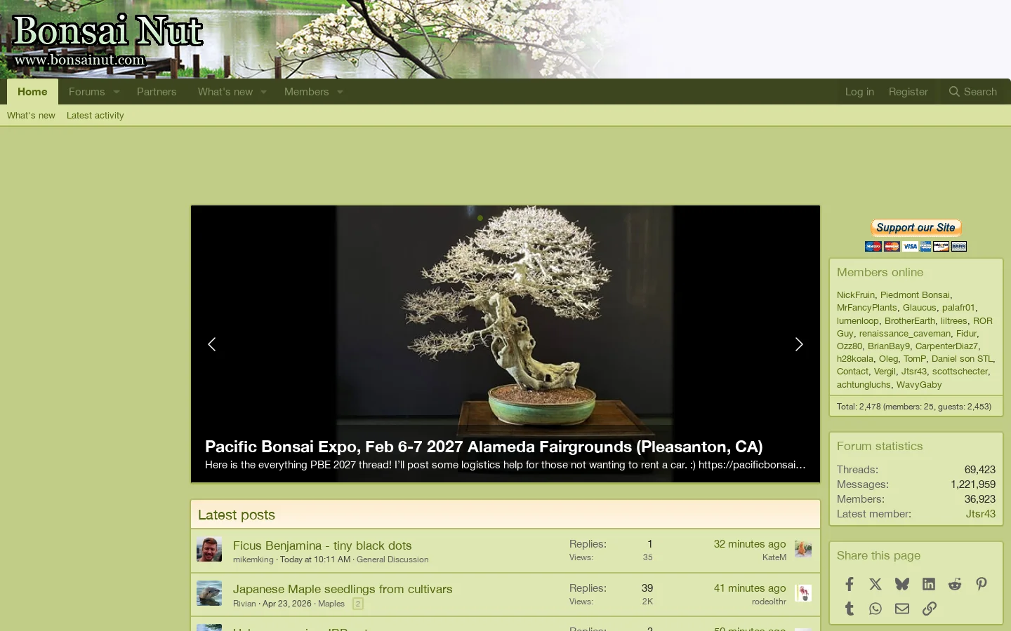 Bonsai Nut Homepage screenshot