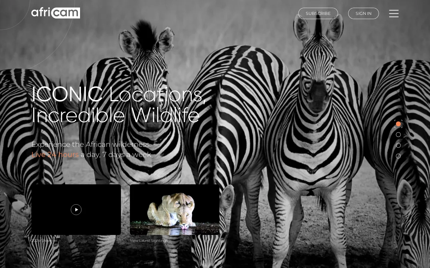 Africam Homepage screenshot