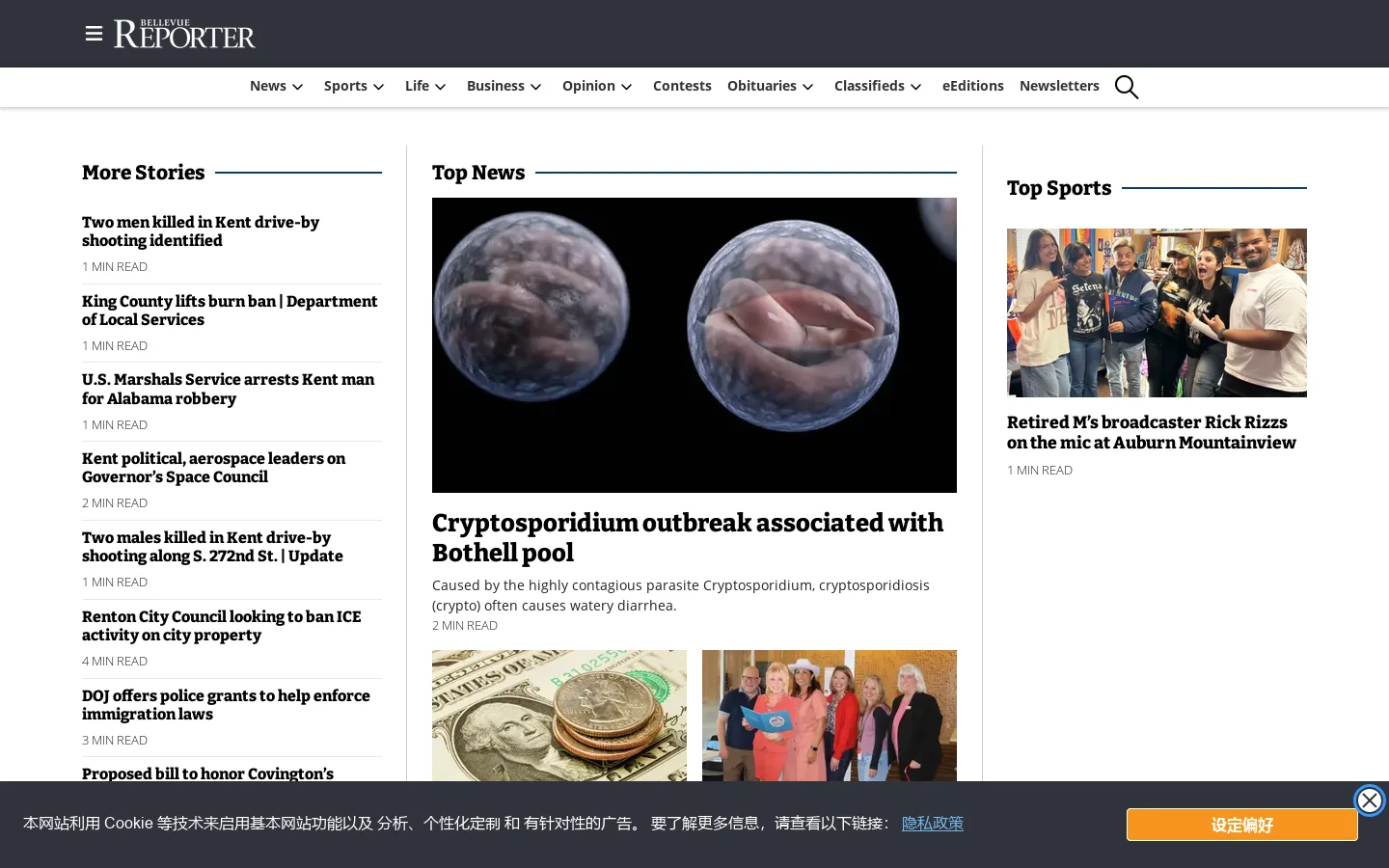 Bellevue Reporter Homepage screenshot