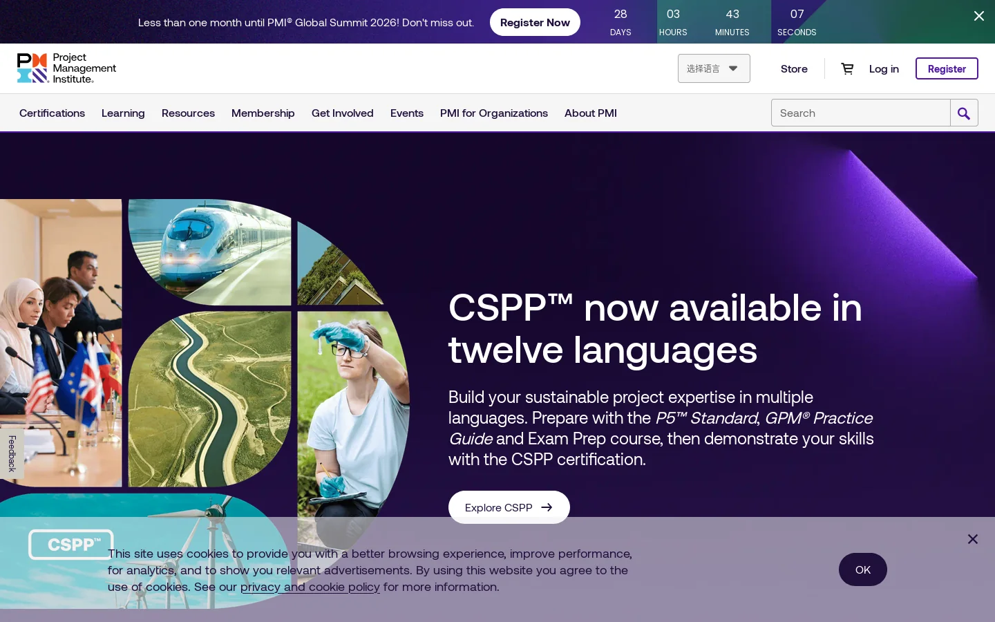 Home of Project Management | Project Management Institute Homepage screenshot
