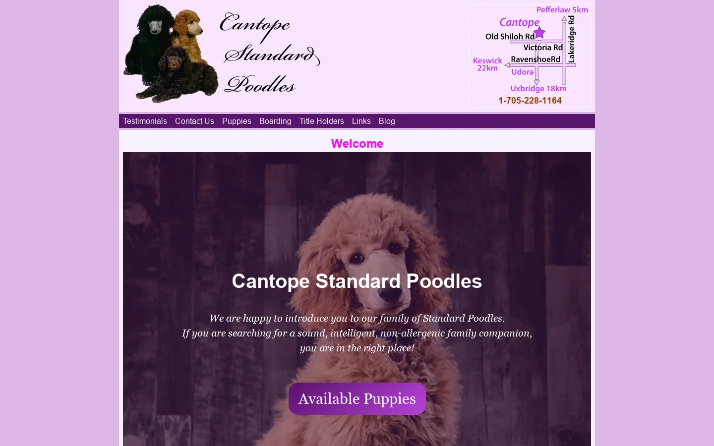 Standard Poodle Breeder | Boarding | Grooming | Udora ON near Toronto Homepage screenshot