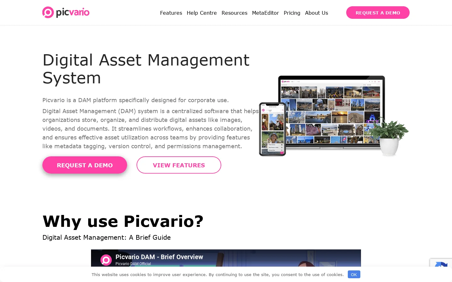Picvario DAM Platform Homepage screenshot