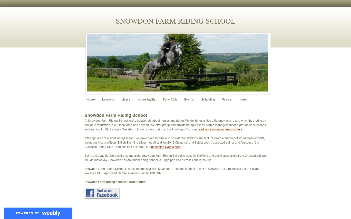 Snowdon Farm Riding School - Home Homepage screenshot