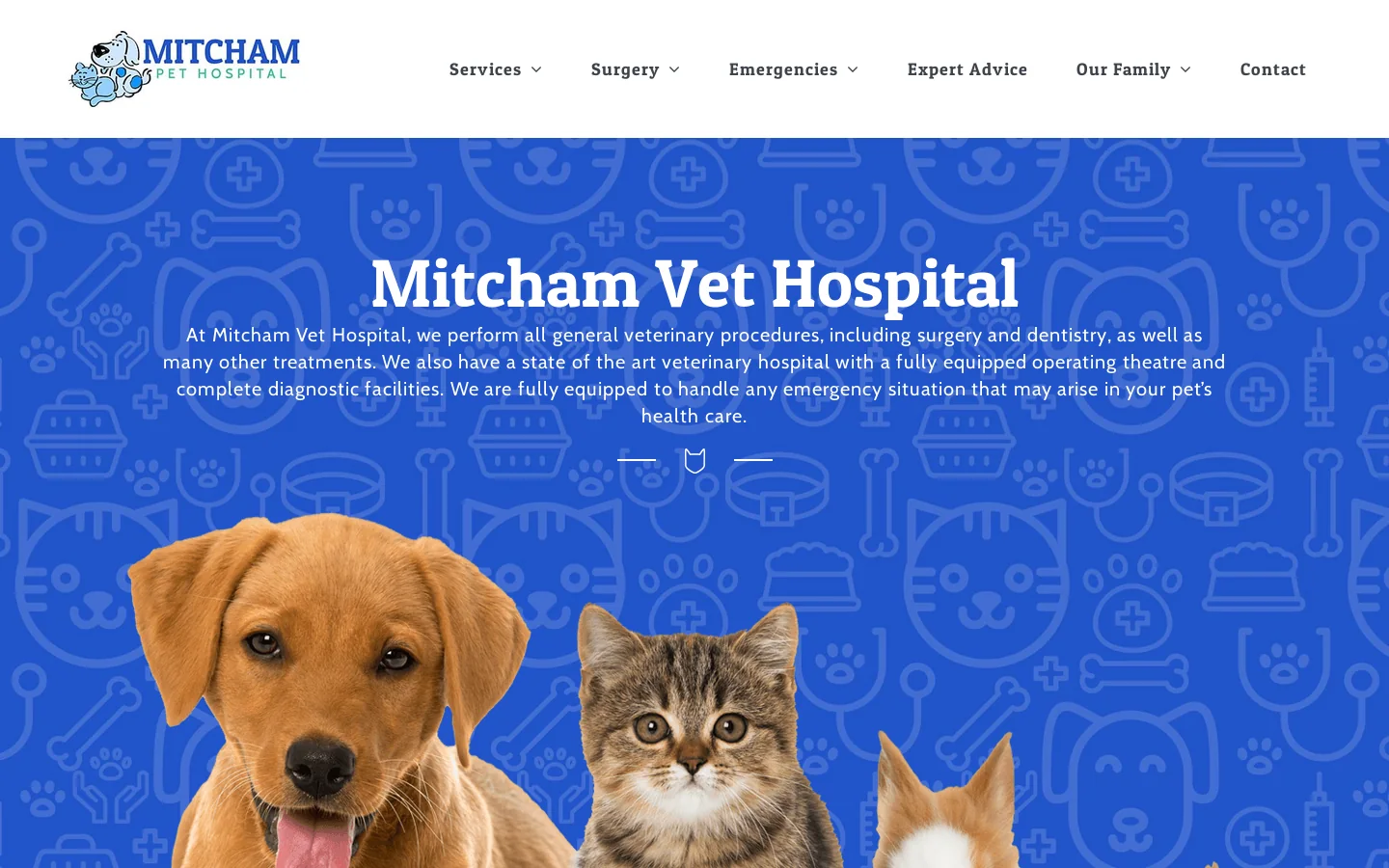 Mitcham Vet Hospital Homepage screenshot