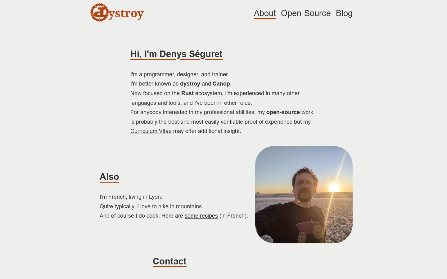 dystroy Homepage screenshot