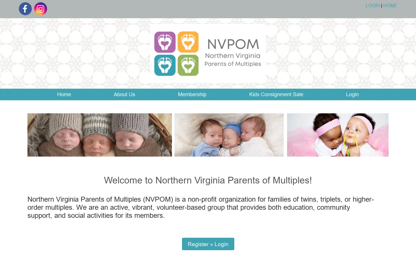 Northern Virginia Parents of Multiples - Home Homepage screenshot