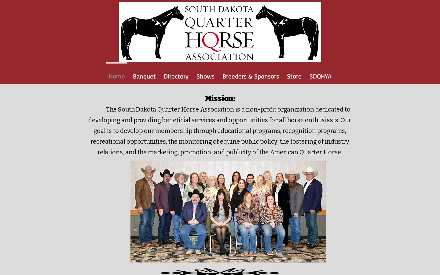 sdqha Homepage screenshot