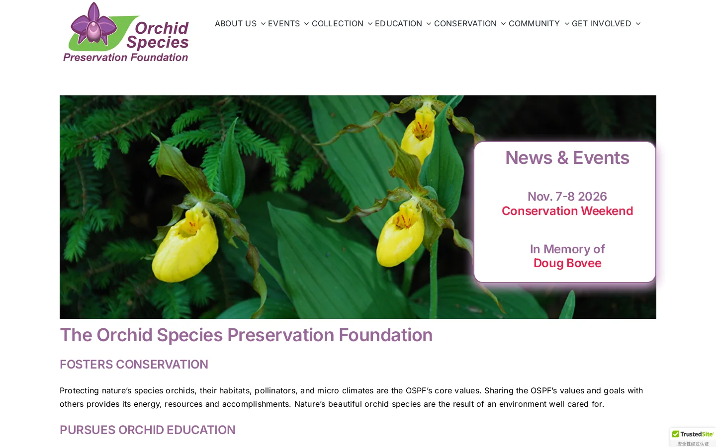 Orchid Species Preservation Foundation Homepage screenshot