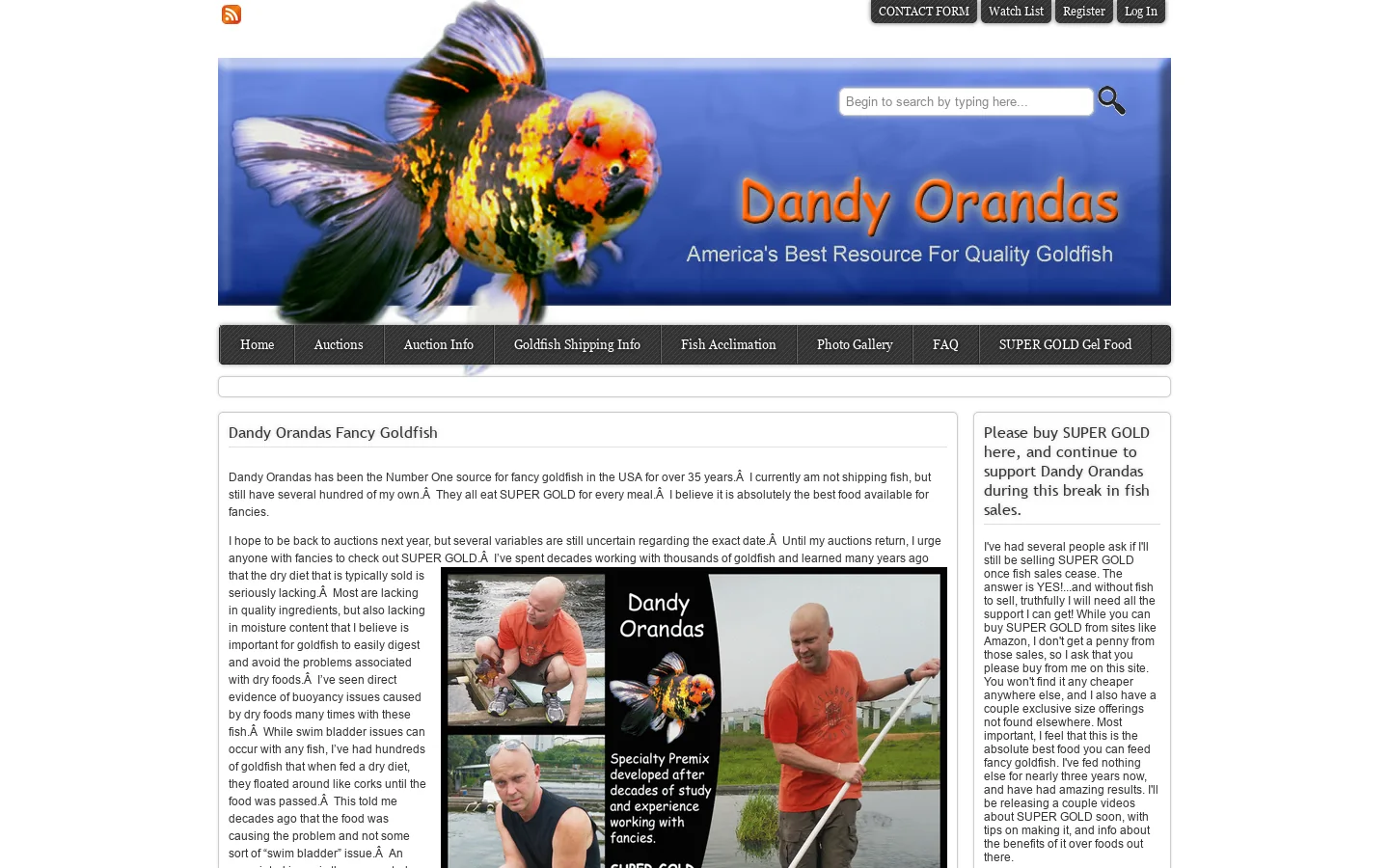 DandyOrandas.com » Collector and Show Quality Goldfish Homepage screenshot