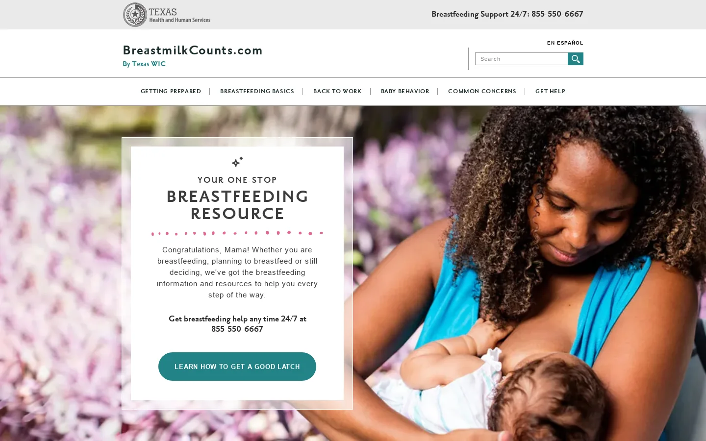 BreastmilkCounts.com Homepage screenshot