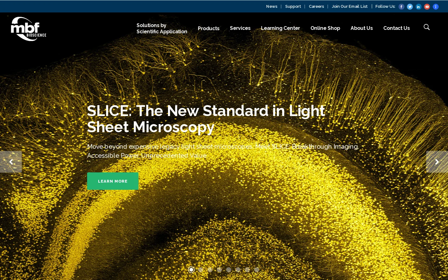 MBF Bioscience Homepage screenshot
