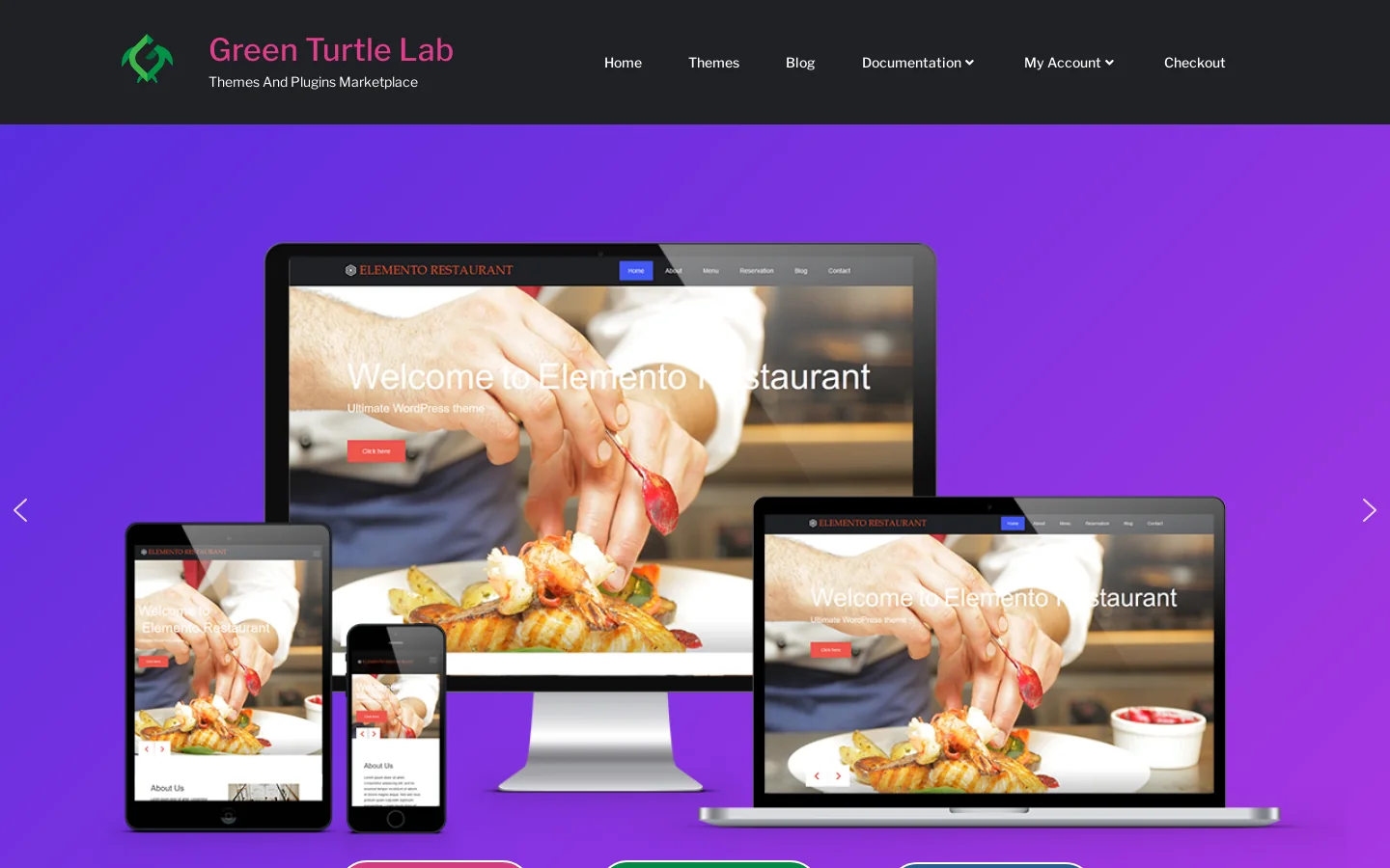 Green Turtle Lab Homepage screenshot