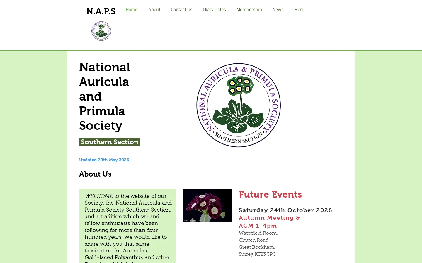 About | NAPS Southern Auricula Society| Primula |Gold laced Polyanthus Homepage screenshot