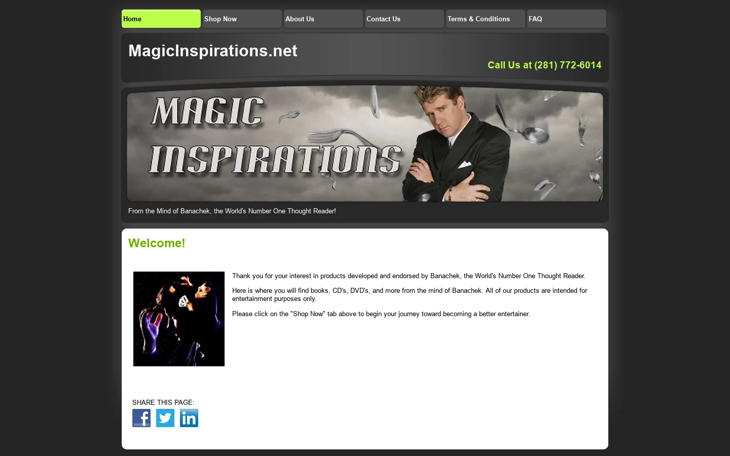Home Homepage screenshot