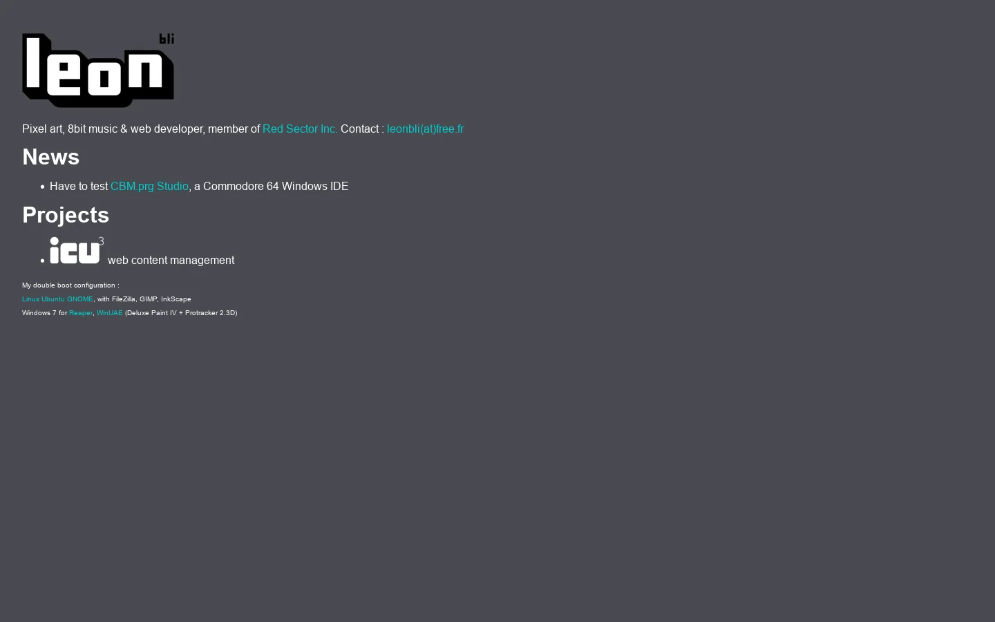 Leon Bli Homepage screenshot