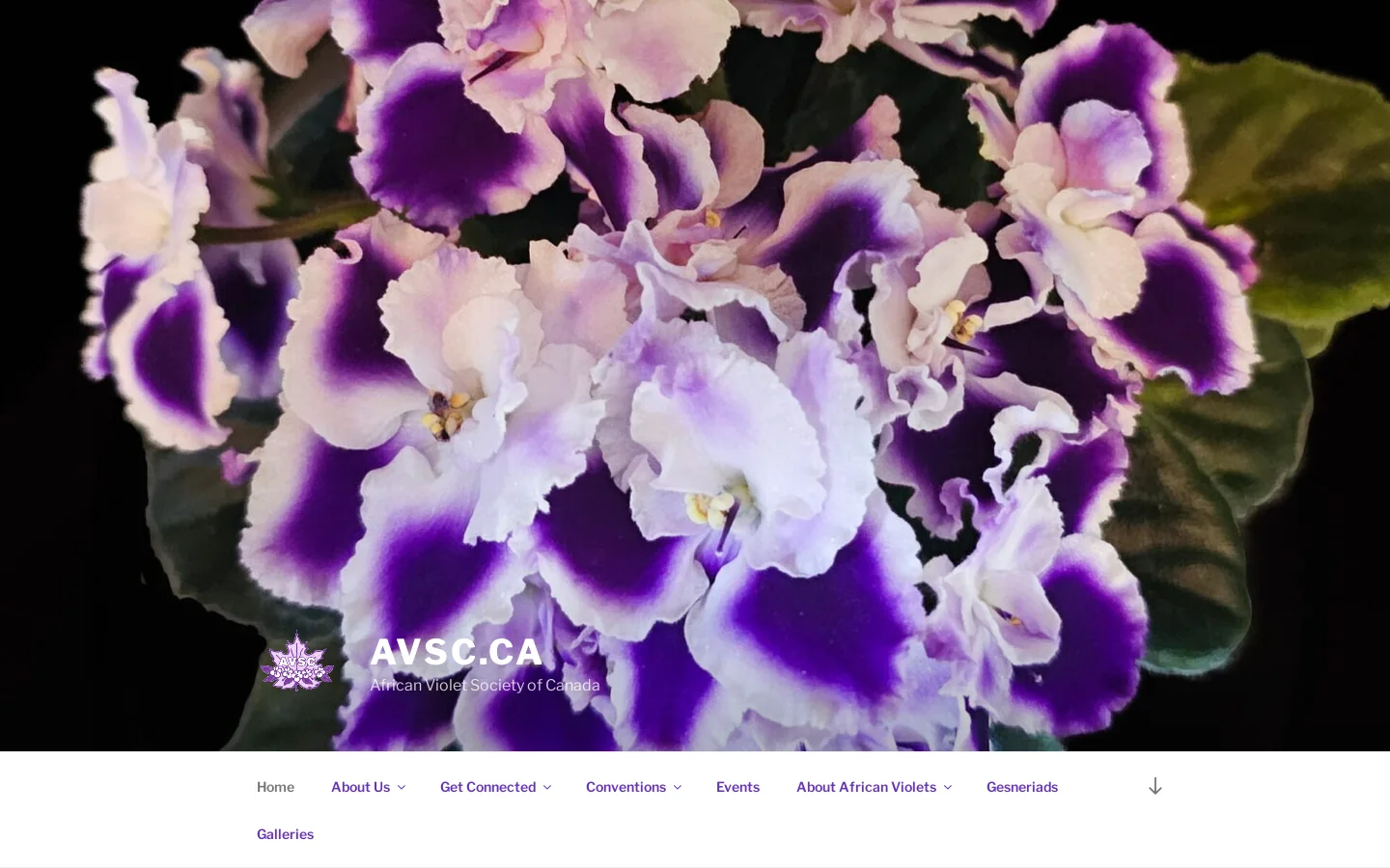 AVSC.ca Homepage screenshot