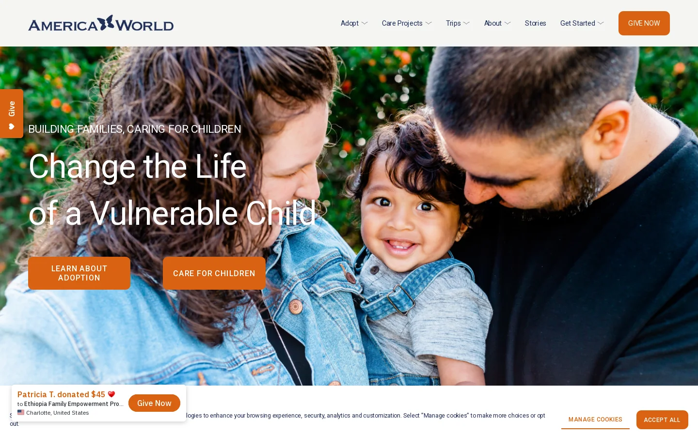 America World | Building Familes, Caring for Children Homepage screenshot