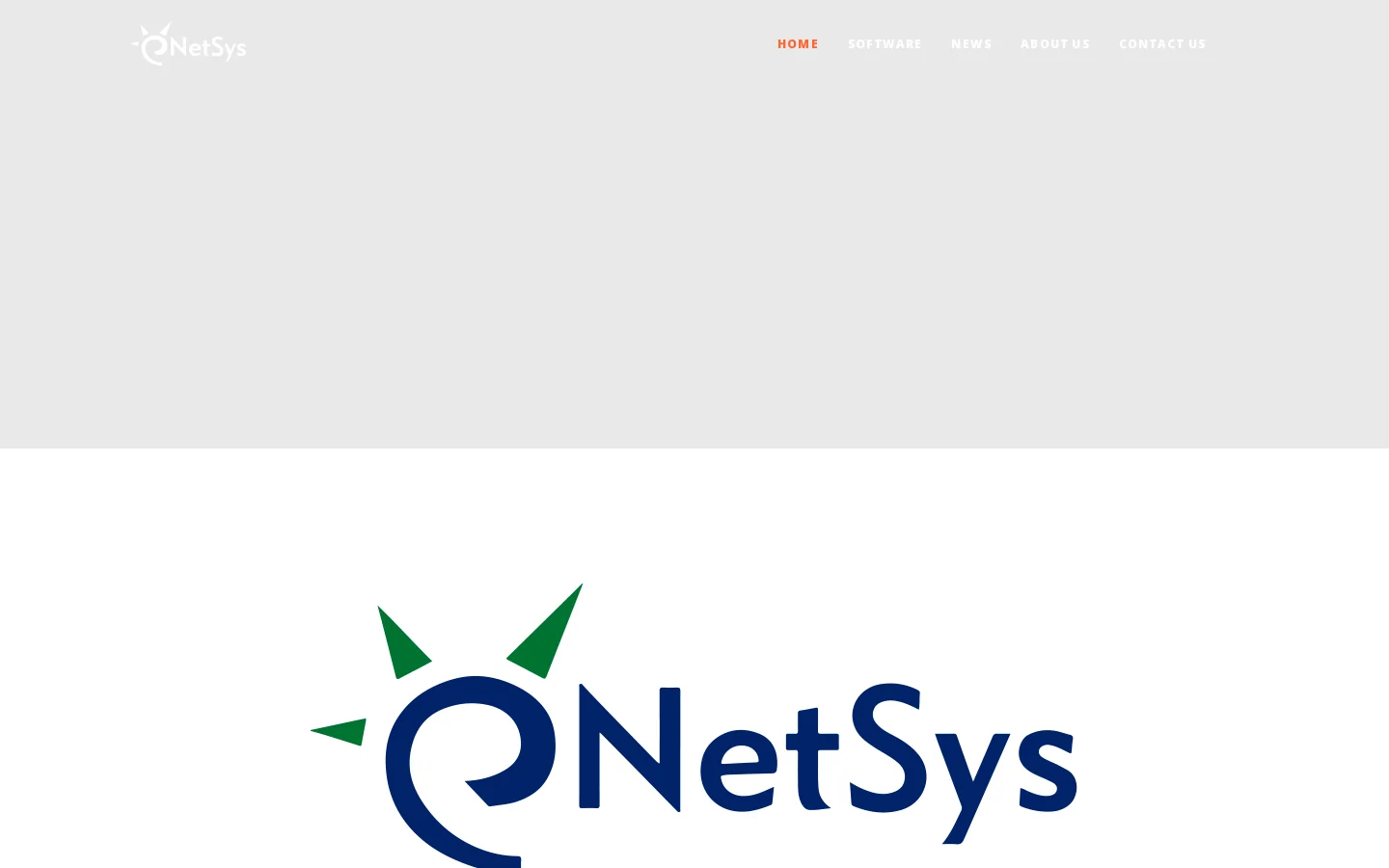 Netsys Home Homepage screenshot