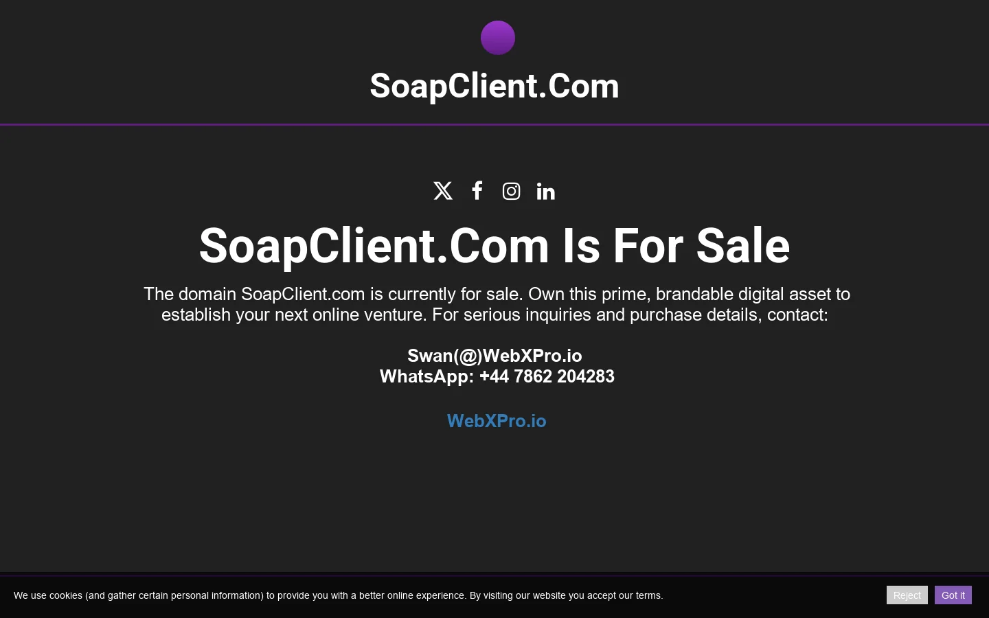 SoapClient.com Domain For Sale, Prime Digital Asset Opportunity Homepage screenshot